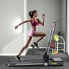 2.5HP Horizontally Foldable Electric Treadmill Motorized Running Machine ; Silver (Expected Arrival Time:4.30)