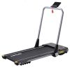 2.5HP Horizontally Foldable Electric Treadmill Motorized Running Machine ; Silver (Expected Arrival Time:4.30)